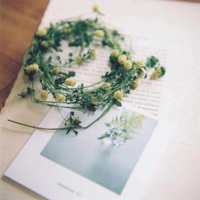 星空下载手机app下载